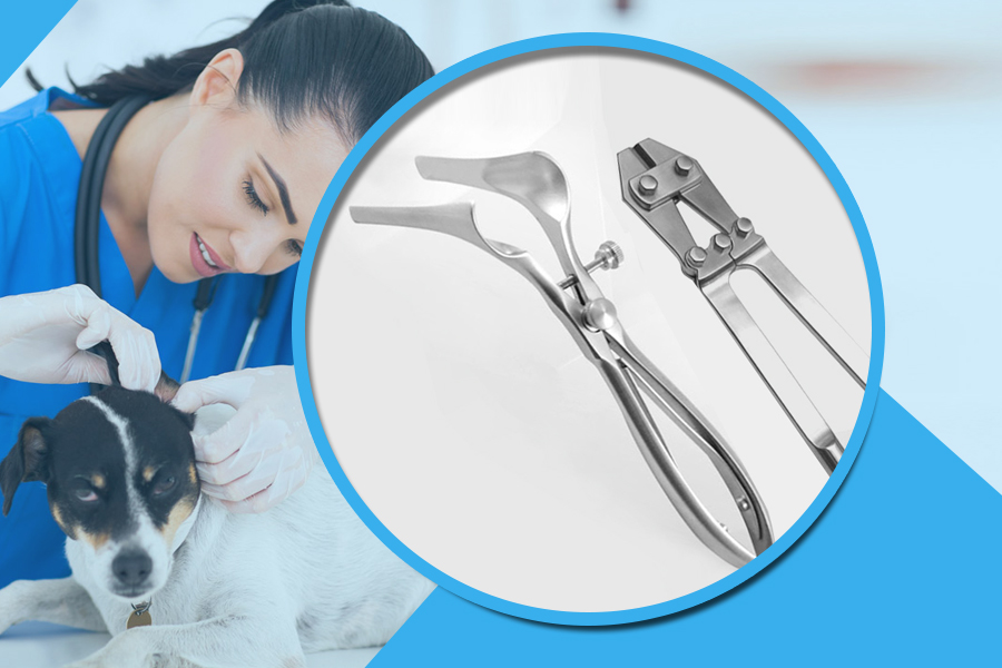 veterinary